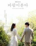 Nonton Drama Korea The Wind Blows 2019 Subtitle Indonesia