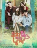 Nonton Drama Korea Sweet Stranger and Me Subtitle Indonesia