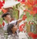 Nonton Drama Korea Extraordinary You 2019 Subtitle Indonesia