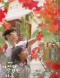 Nonton Drama Korea Extraordinary You 2019 Subtitle Indonesia