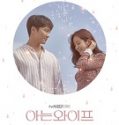 Nonton Drama Korea Familiar Wife Subtitle Indonesia