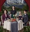 Nonton Drama Korea Perfect Wife Subtitle Indonesia