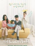 Nonton Drama Korea Hi Bye Mama Subtitle Indonesia