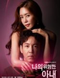 Nonton Drama Korea My Dangerous Wife (2020) Sub Indonesia