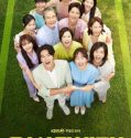 Nonton Drama Korea Homemade Love Story Subtitle Indonesia