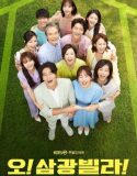 Nonton Drama Korea Homemade Love Story Subtitle Indonesia