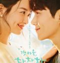 Nonton Drama Korea Hometown Cha Cha Cha Subtitle Indonesia