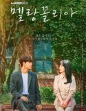 Nonton Drama Korea Melancholia 2021 Subtitle Indonesia