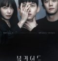 Nonton Drama Korea Blind 2022 Subtitle Indonesia