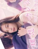 Nonton Drama Jepang Ideal Boyfriend 2022 Subtitle Indonesia